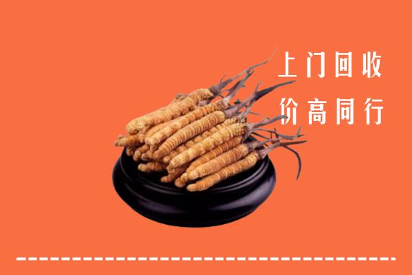 高价求购：常德回收散虫草