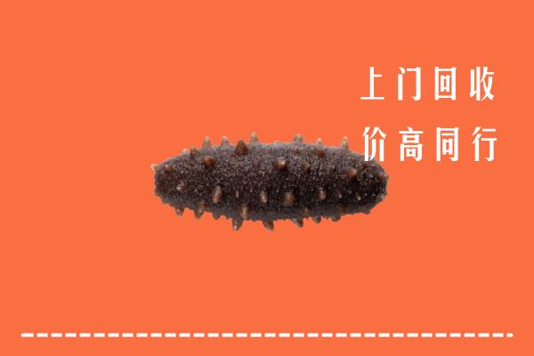 高价求购：常德回收海参